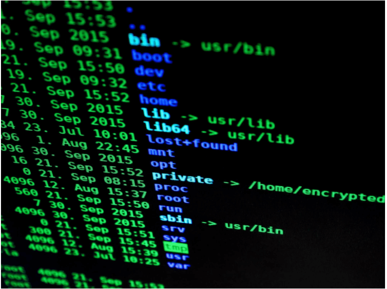 Leveraging Technology and Automation